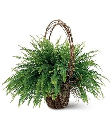 Faithful Fern Flower Arrangement