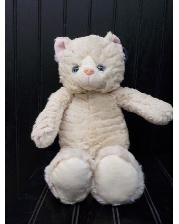webkinz cuddle cat