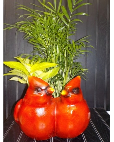 Double Cardinal Planter Dish Garden Plant