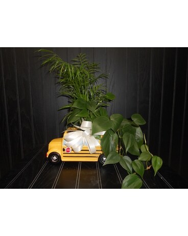 School Bus Planter Dish Garden Plant