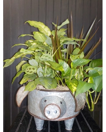 Large Tin Pig Planter Dish Garden Plant