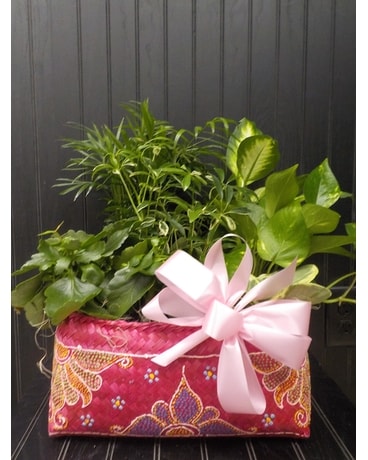 Large Oriental Basket Ast. Planter Dish Garden Plant
