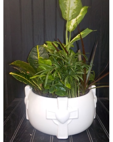 White Cross Dish Planter Dish Garden Plant