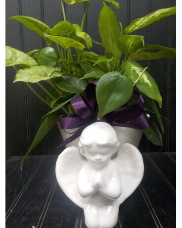Cherub Planter Dish Garden Plant