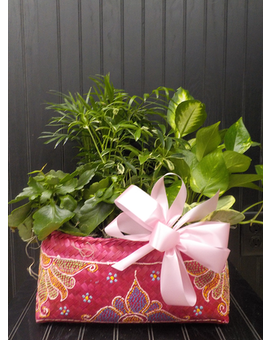 Large Oriental Basket Ast. Planter Dish Garden Plant