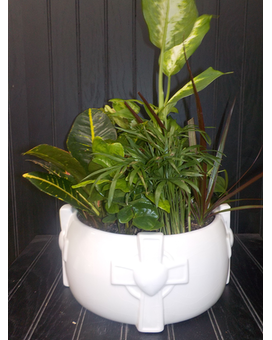 White Cross Dish Planter Dish Garden Plant