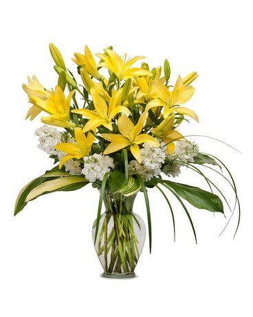 Lilies and Stock Flower Arrangement