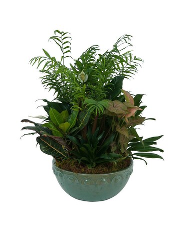 Dish Garden Flower Arrangement