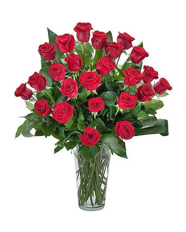 Standard size, 24 inches height and 12 inches wide.