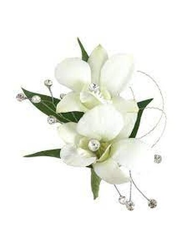 White Orchid Boutonniere (Premium) Boutonniere