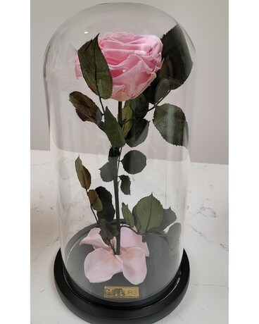 MFLEURS/ROSE LASTING 1 + YEAR Custom product