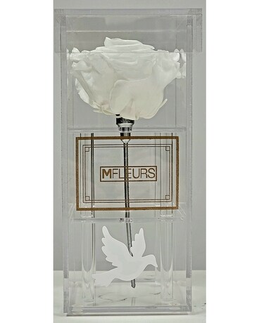 MFLEURS/ROSE LASTING 1 + YEAR Custom product