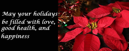 Shop Christmas