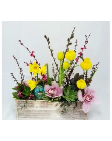 Spring has Sprung!