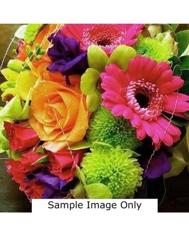Designer's Choice Pops Of Color