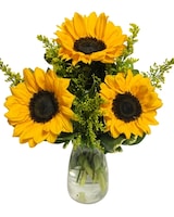 3 Sunflowers size,  inches height and  inches wide.
