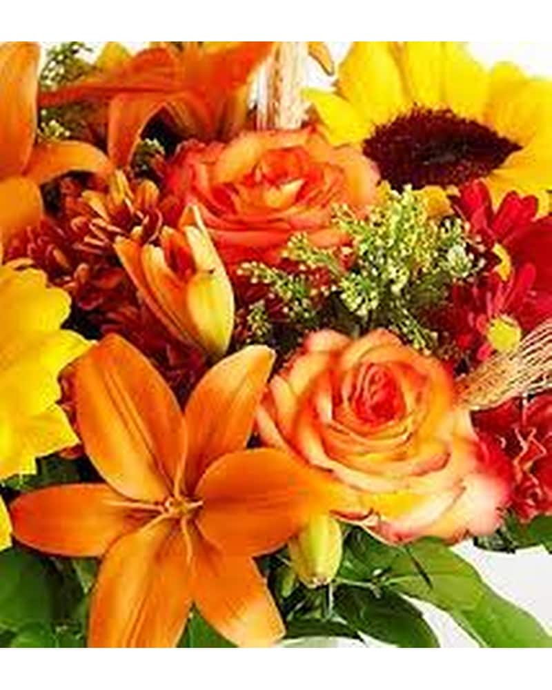 Get Well Flowers Delivery Tonawanda NY - Brighton Eggert Florist