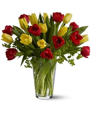 Dutch Delight Flower Arrangement