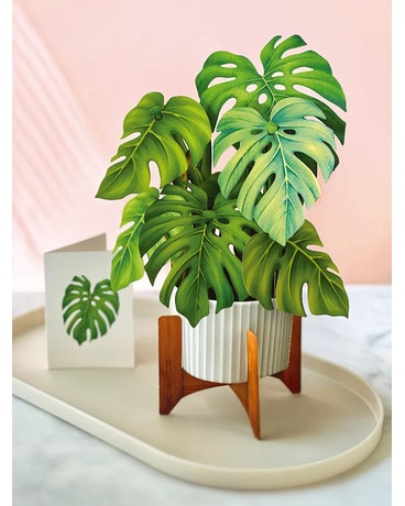 Monstera Plant - Greeting Card Flower Arrangement