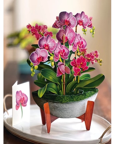 Orchid Oasis - Greeting Card Flower Arrangement