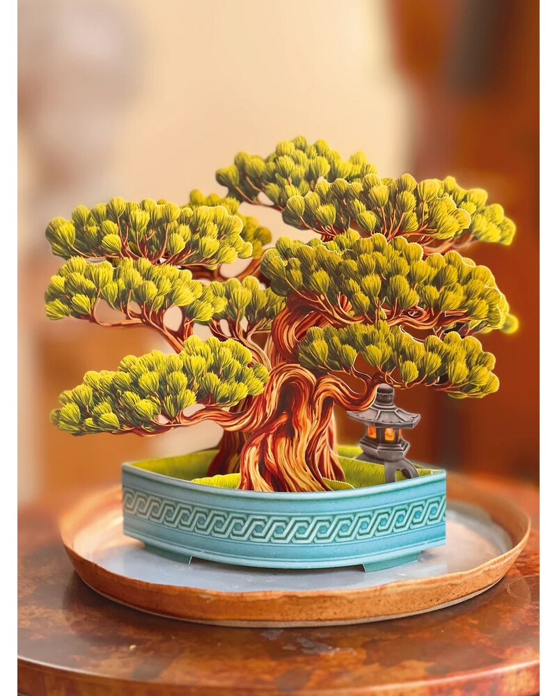 Wisdom Bonsai - Greeting Card in McAllen TX - Bonita Flowers & Gifts
