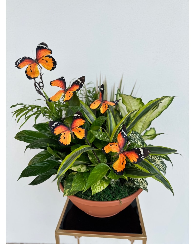 Get Well Flowers Delivery McAllen TX - Bonita Flowers & Gifts