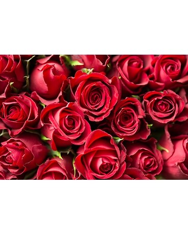 Roses Arranged Flower Arrangement