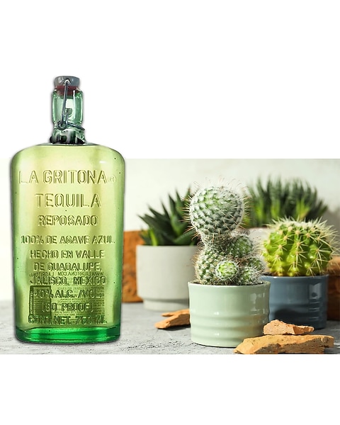 Tequila And Cactus in New London CT - Thames River Greenery