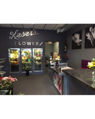 Our Shop