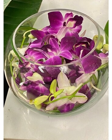 Orchid Orb Flower Arrangement