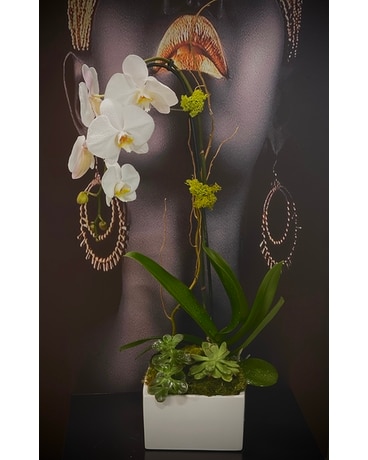 Succulent Elegance Flower Arrangement