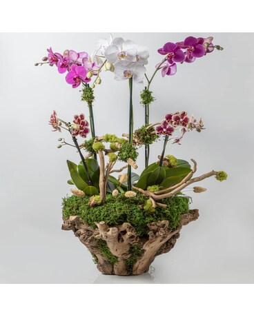 Goblins Forest Flower Arrangement