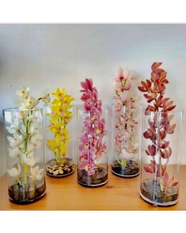 Pick Your Pleasure Orchid Flower Arrangement