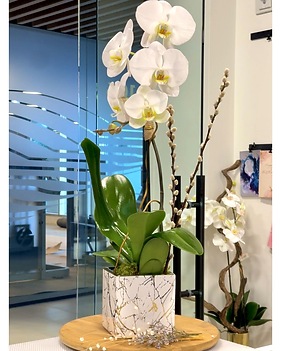 Plants Delivery Miami FL - Brickell Ave. Flowers & Gifts