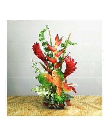 Tropical Aloha!
