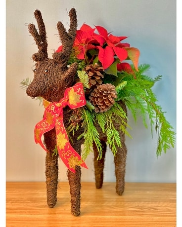Decorative  Reindeer Poinsettia Planter Plant