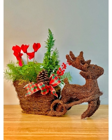 Decorative Reindeer & Sleigh Planter Plant