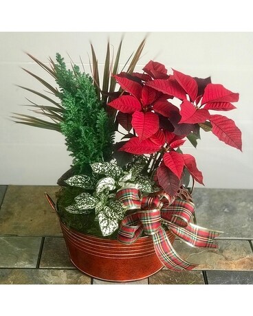 Holiday Garden Tin Plant