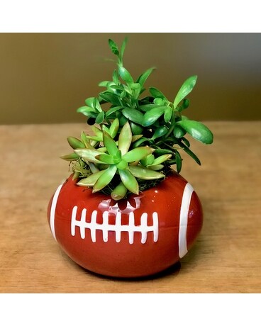 Football Garden Specialty Arrangement