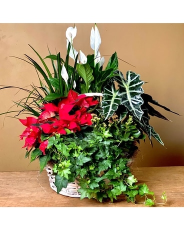 Ultra Premium Holiday Garden Basket Plant