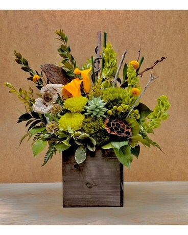 Woodsy & Wild Delivery Santa Cruz CA - Ferrari Florist & Gardens