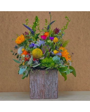 Woodsy & Wild Delivery Santa Cruz CA - Ferrari Florist & Gardens