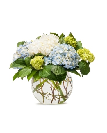Mighty Hydrangea Flower Arrangement