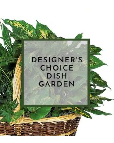 Florist Choice Dish Garden Flower Arrangement