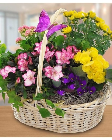 Blooming Garden Basket Flower Arrangement