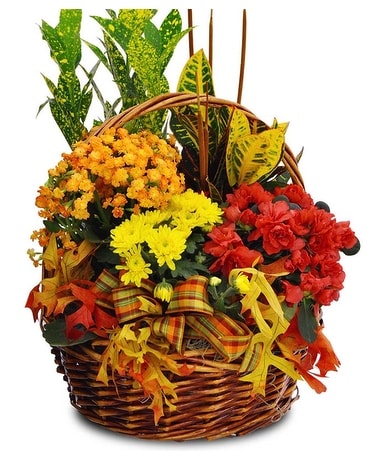 Autumn Plant Basket Flower Arrangement