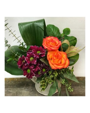 rainforest fresh in vermilion