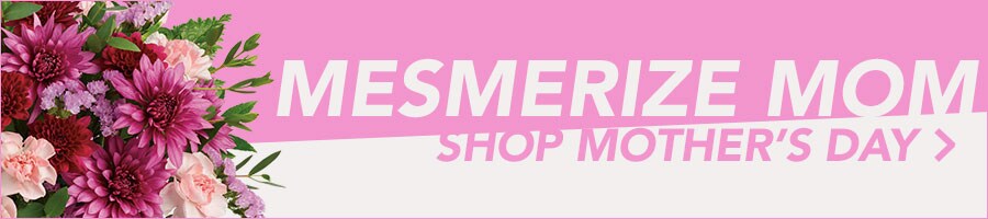 Beautiful Seasonal Flowers Banner