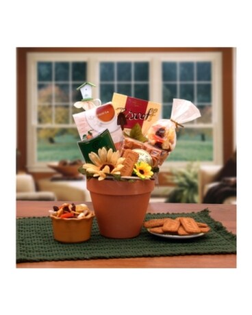 USA - Sunflowers For You