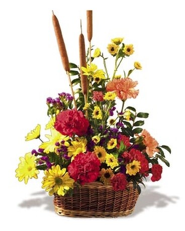Crazy for Cattails Flower Arrangement
